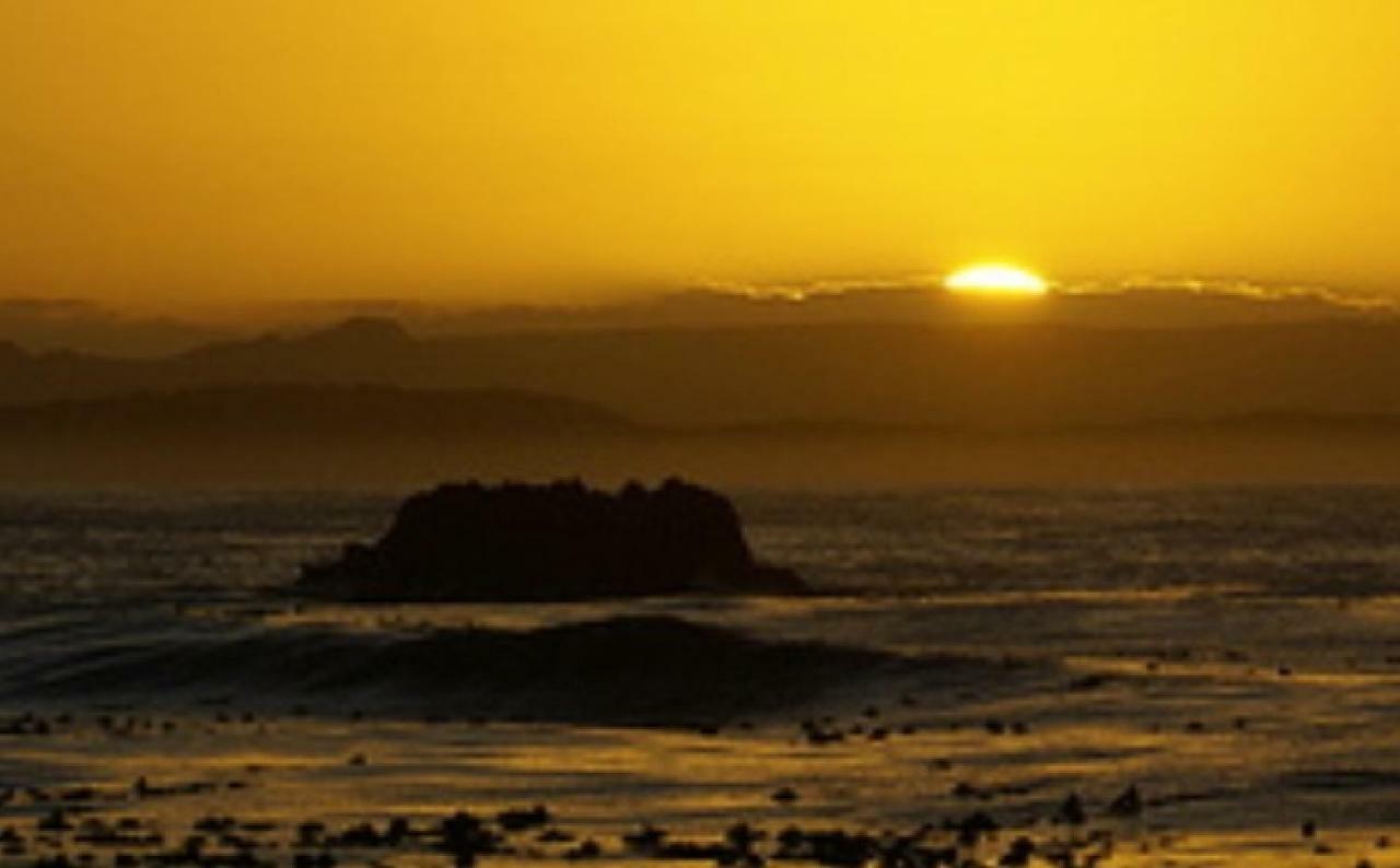 Vila Tassies Gansbaai Exteriér fotografie